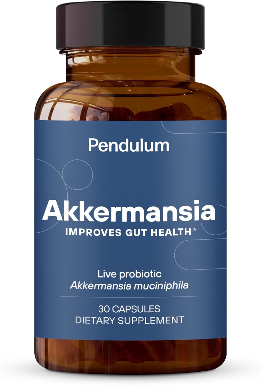 Pendulum Akkermansia