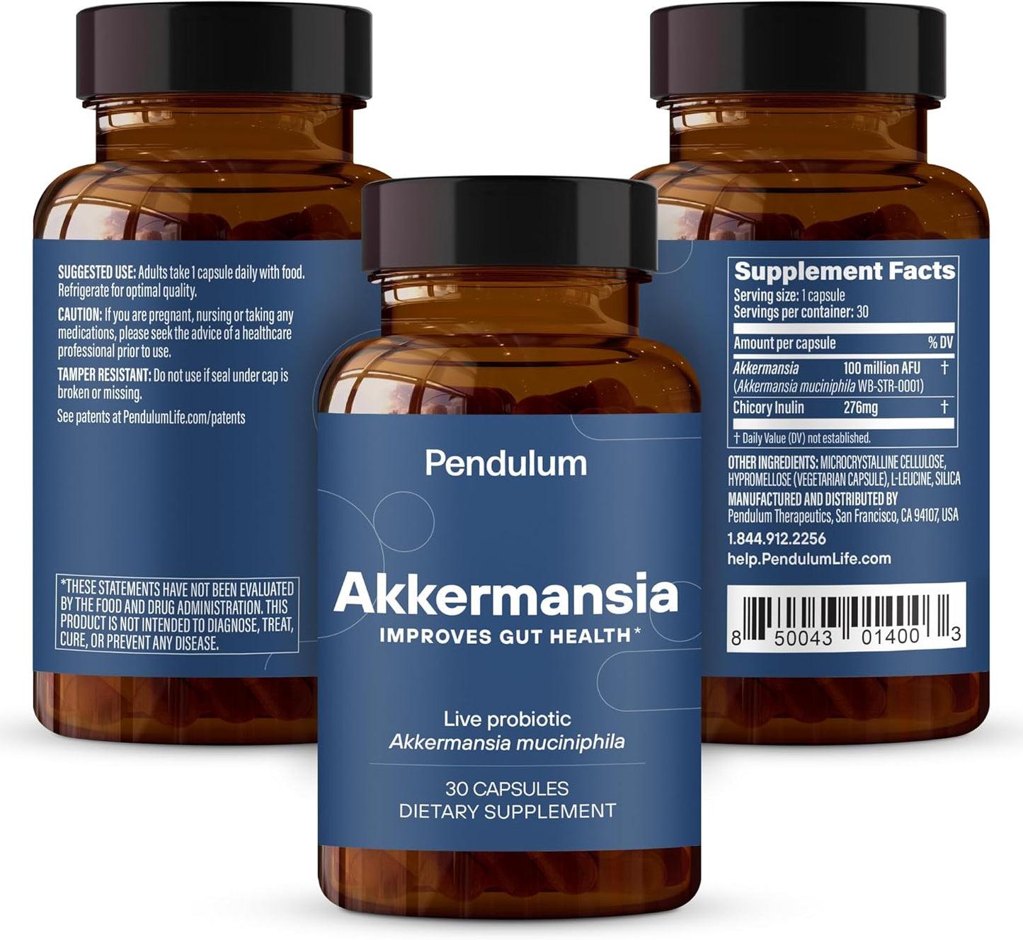 Pendulum Akkermansia