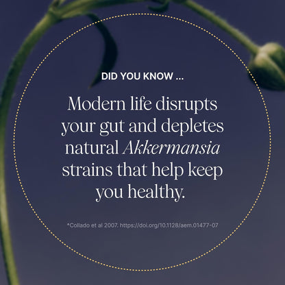 Pendulum Akkermansia